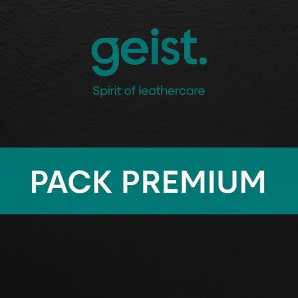 Pack Premium Geist – Kit complet de rénovation et réparation cuir